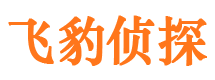 吉安侦探公司